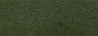 Saddlehide Verde4