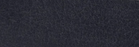 Saddlehide Blu2